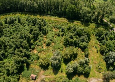 Immobilie Bezirk Tulln