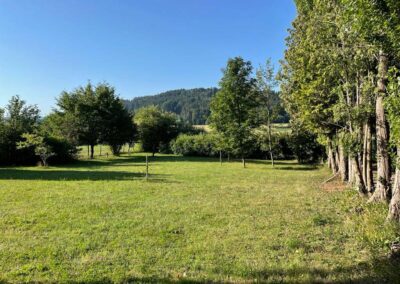 Immobilie in Kirchberg