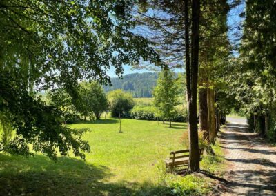 Immobilie in Kirchberg